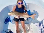 OBX Bait & Tackle Corolla Outer Banks, Corolla Fish Report