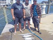 Tuna Duck Sportfishing, Inshore Today
