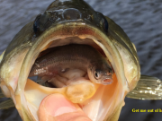 TW’s Bait & Tackle, Daily Fishing Report