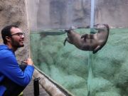 Jennette's Pier, Cold Ocean and Air