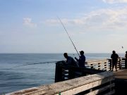 Jennette's Pier, Bluefish, Spanish Mackerel & Sea Mullet