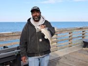 Jennette's Pier, Keeper Sea Mullet