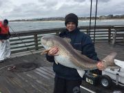 TW’s Bait & Tackle, Daily Fishing Report