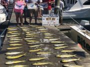 Bite Me Sportfishing Charters, Triple Header!