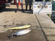 Bite Me Sportfishing Charters, Sailfish and Dolphin!