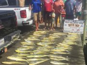 Bite Me Sportfishing Charters, Father Son Day Offshore!