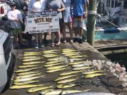 Bite Me Sportfishing Charters, Cousins