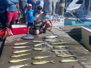 Bite Me Sportfishing Charters, Dolphins and Skip Jack Tuna