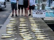 Bite Me Sportfishing Charters, Dolphins, Wahoo and a Sailfish