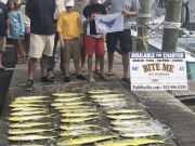 Bite Me Sportfishing Charters, Sailfish Dolphin Tuna!