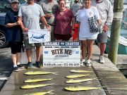 Bite Me Sportfishing Charters, Blue Marlin and dolphin