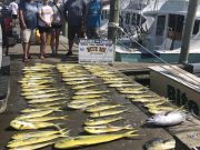 Bite Me Sportfishing Charters, Full Belly Fade