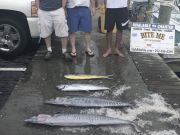 Bite Me Sportfishing Charters, Wahoo, Dolphin, King