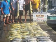 Bite Me Sportfishing Charters, Dolphin, Tuna for our Soldiers today!