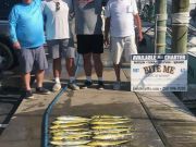 Bite Me Sportfishing Charters, Dolphins but no marlin luck