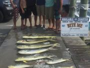 Bite Me Sportfishing Charters, Mahi Mahi!