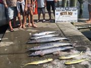 Bite Me Sportfishing Charters, Pretty Day Good Fishing!