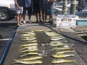 Bite Me Sportfishing Charters, Happy Independence Day!