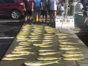 Bite Me Sportfishing Charters, Berniceville Bailers