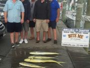 Bite Me Sportfishing Charters, no lightening and a few bites!