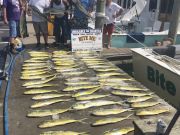 Bite Me Sportfishing Charters, Bailerzzzzzz