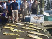 Bite Me Sportfishing Charters, Fishing Getting Better!