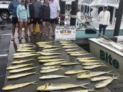 Bite Me Sportfishing Charters, Moe Fun!