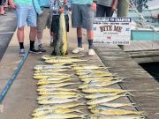 Bite Me Sportfishing Charters, Dolphins for our crew of fellow Moutaineers!