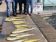 Bite Me Sportfishing Charters, More Hillbillys and more dolphins and a sail!
