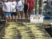 Bite Me Sportfishing Charters, Dolphins and a Sail!