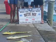 Bite Me Sportfishing Charters, Couple of Scrappy Days