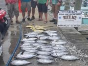 Bite Me Sportfishing Charters, Blackfin Tuna