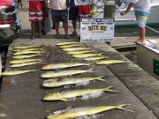 Bite Me Sportfishing Charters, Sailfish and Dolphin!