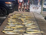 Bite Me Sportfishing Charters, Father's Day Dolphin