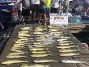 Bite Me Sportfishing Charters, Happy Father's Day - Dolphin and a Sail