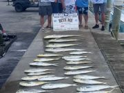 Bite Me Sportfishing Charters, Double Header Sails and a nice mess of Dolphin