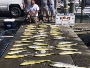 Bite Me Sportfishing Charters, Mahi on a pretty day!