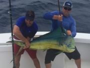 Bite Me Sportfishing Charters, Dolphins in the deep!