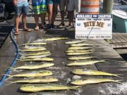 Bite Me Sportfishing Charters, Local Celebrity Day!