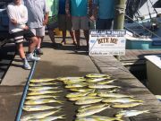 Bite Me Sportfishing Charters, Bailers!