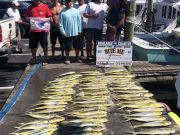 Bite Me Sportfishing Charters, River of Mahi!