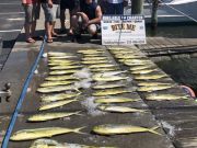 Bite Me Sportfishing Charters, pretty day good fishing!