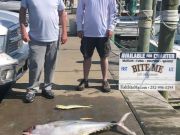 Bite Me Sportfishing Charters, Big Tunas!
