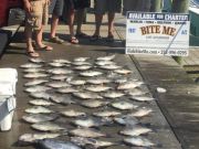 Bite Me Sportfishing Charters, Had to execute Plan B