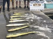 Bite Me Sportfishing Charters, Mahi Mahi!