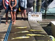 Bite Me Sportfishing Charters, Tough Conditions
