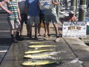 Bite Me Sportfishing Charters, Change in the Weather