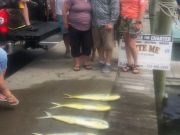 Bite Me Sportfishing Charters, Mahi on a Rough Day