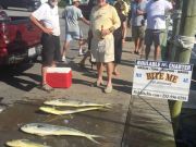 Bite Me Sportfishing Charters, Searching for Marlins