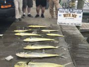 Bite Me Sportfishing Charters, NC State Sport Fishing School